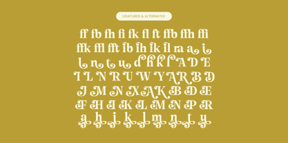 Angel & Bunda Font Poster 14