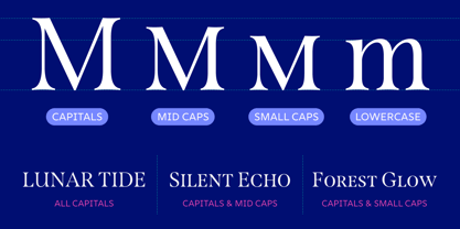 Span Font Poster 3