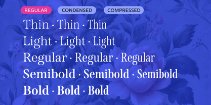 Span Font Poster 2