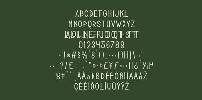 MC Waqfuio Font Poster 7