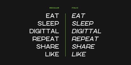 Digittal Font Poster 6