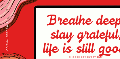 Burger Magis Font Poster 6