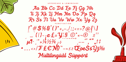 Burger Magis Font Poster 15