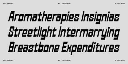403 Masonec Font Poster 9