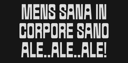 403 Masonec Font Poster 6