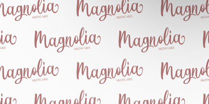 Jolliners Script Font Poster 5