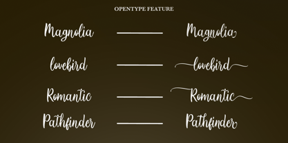 Jolliners Script Font Poster 8