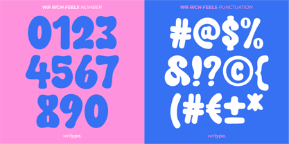 WR Rich Feels Font Poster 6