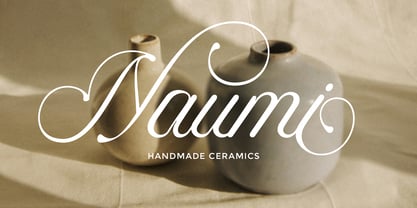 Puspita Script Font Poster 8