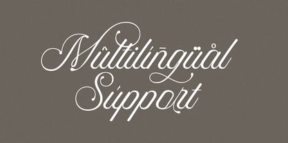 Puspita Script Font Poster 11