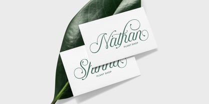 Puspita Script Font Poster 6
