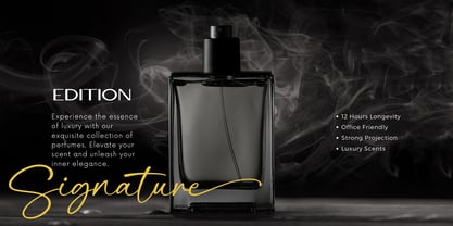 Handgone Font Poster 9