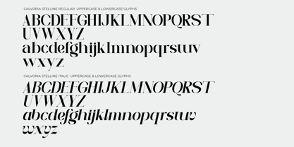 Calvoria Stelline Font Poster 9