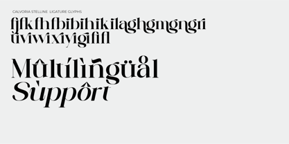 Calvoria Stelline Font Poster 10