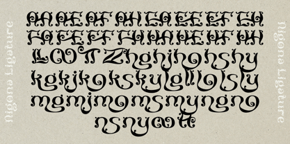 Nigona Font Poster 10