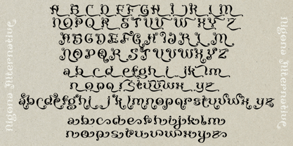 Nigona Font Poster 8