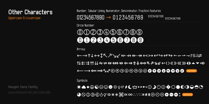 Haugen Sans Font Poster 5
