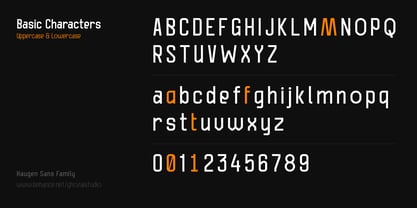 Haugen Sans Font Poster 4
