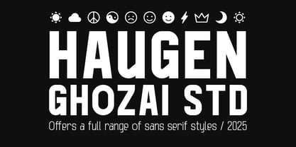 Haugen Sans Font Poster 8