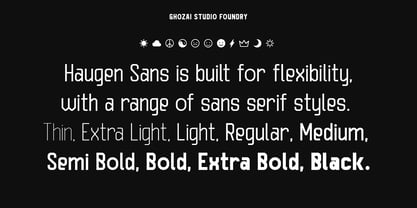 Haugen Sans Font Poster 2