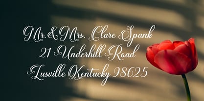 Mantirela Script Font Poster 6