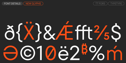 TT Fors Font Poster 15