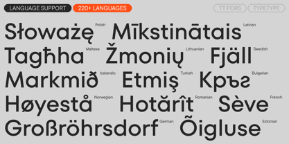 TT Fors Font Poster 7