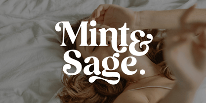 Basher Rivelga Font Poster 5