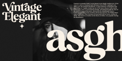 Basher Rivelga Font Poster 6