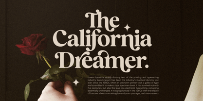 Basher Rivelga Font Poster 2