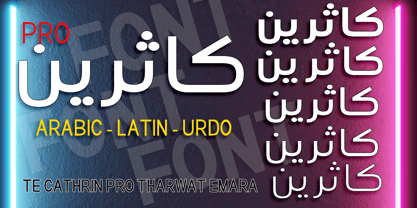 TE Catherine Pro Font Poster 5