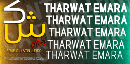 TE Catherine Pro Font Poster 6