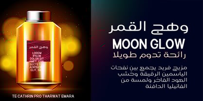 TE Catherine Pro Font Poster 3