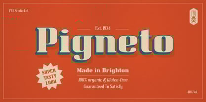Pigneto Font Poster 1