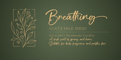 Senllich Font Poster 9