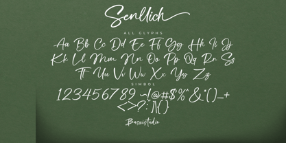Senllich Font Poster 12