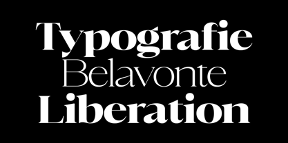 Cholen Font Poster 10