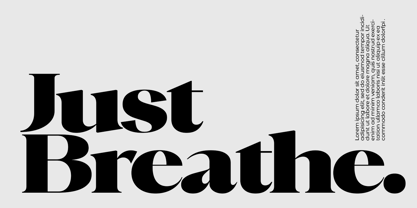 Cholen Font Poster 11