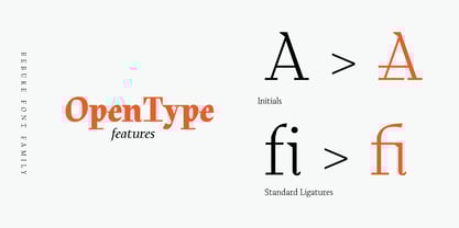 Rebuke Font Poster 11