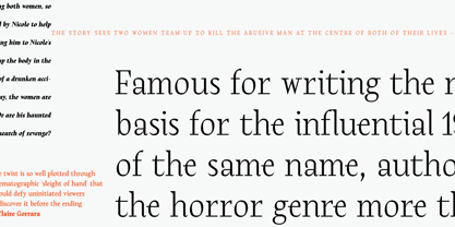 Rebuke Font Poster 3