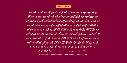 Nesthan Brother Font Poster 14