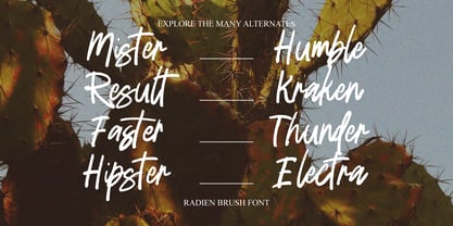 Radien Brush Font Poster 5