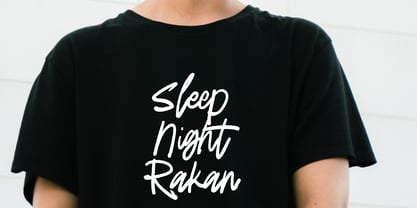 Radien Brush Font Poster 3