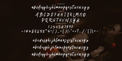 Radien Brush Font Poster 7