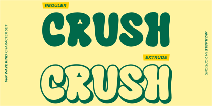 WR Wave Kind Font Poster 2