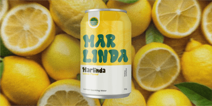 WR Wave Kind Font Poster 3