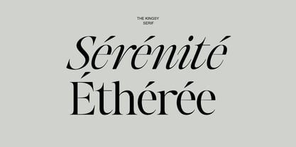 The Kingsy Font Poster 14