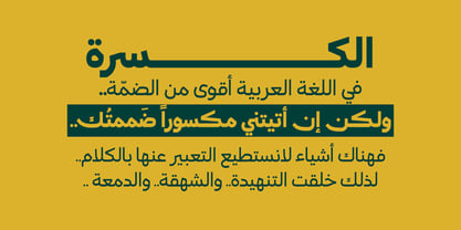 Kasra Typeface Font Poster 12