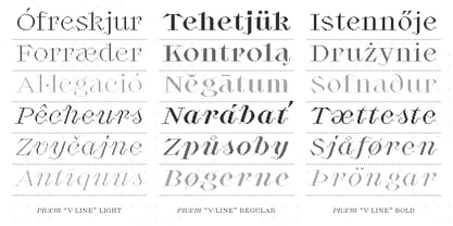 Proximity Font Poster 5