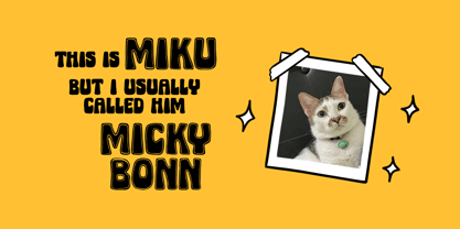 Micky Bonn Font Poster 7
